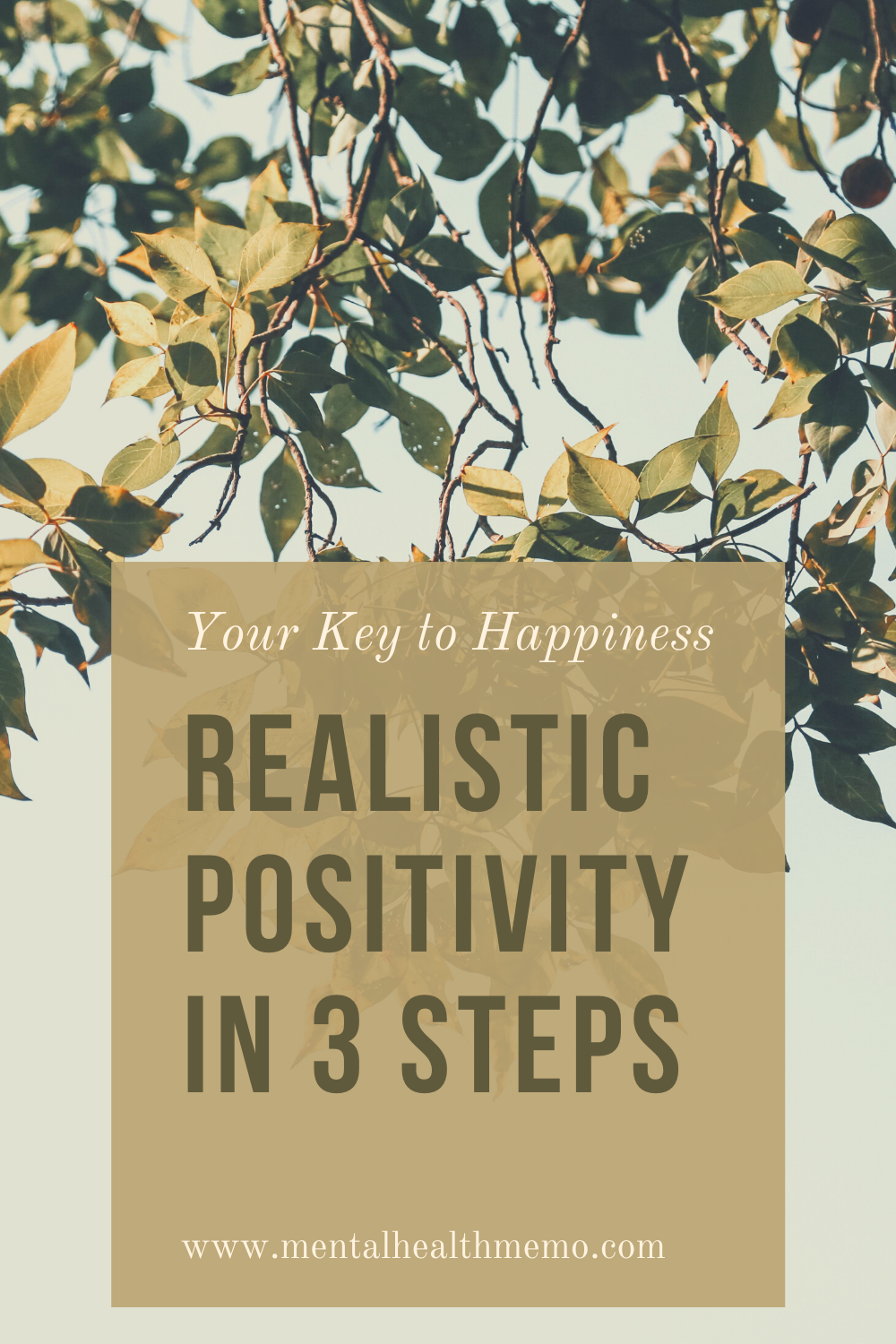 Pin: realistic positivity