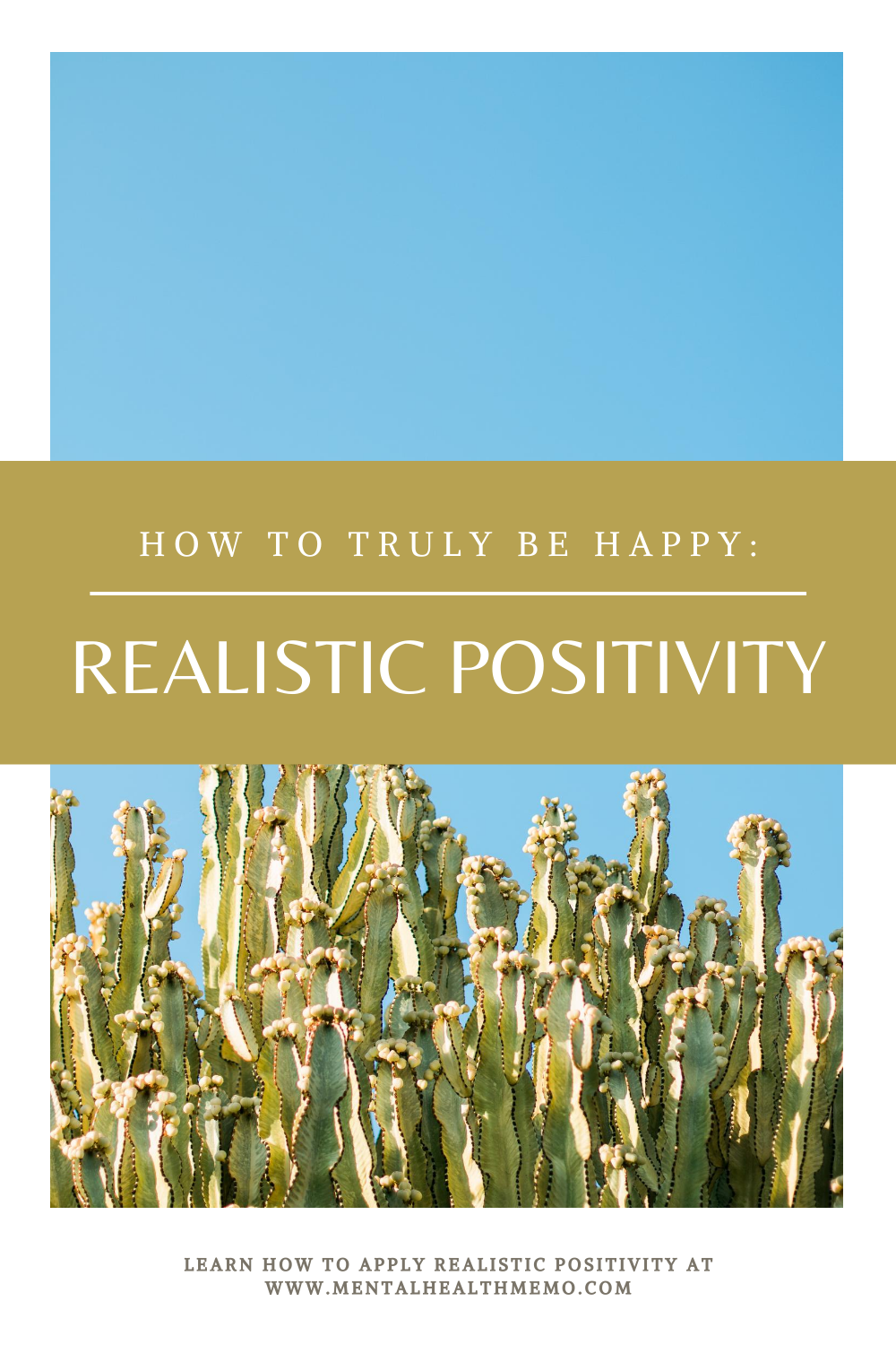 Pin: realistic positivity